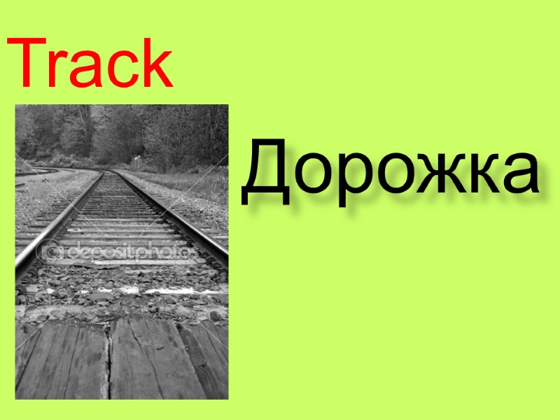 Track  Дорожка